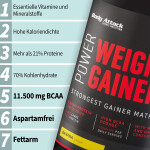 Power Weight Gainer 1.5kg