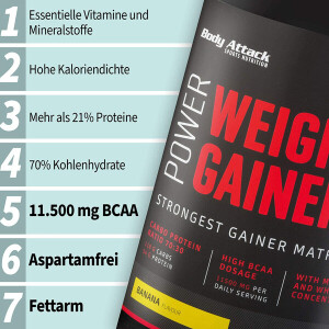 Power Weight Gainer 1.5kg