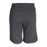 Men’s Sports Shorts Anthra