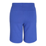 Men’s Sports Shorts Royal Blue